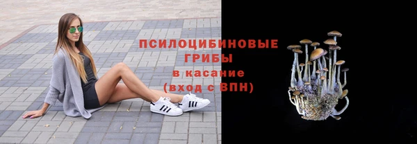 ECSTASY Абдулино
