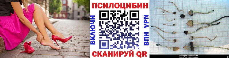Галлюциногенные грибы Psilocybine cubensis  где найти   Вилюйск 