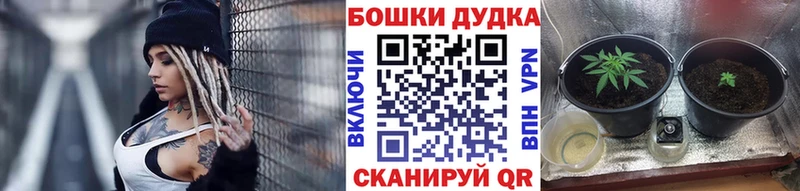 Каннабис план Вилюйск