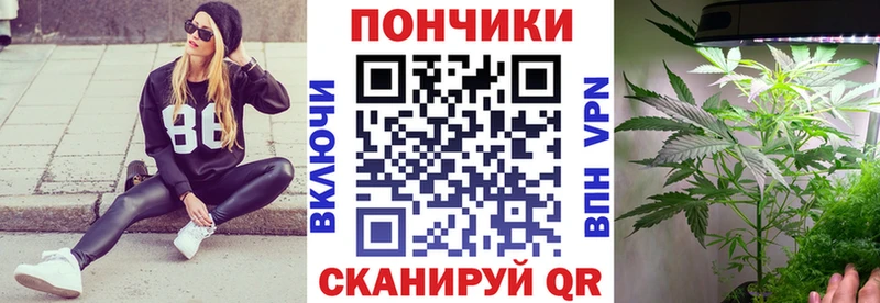 продажа наркотиков  shop телеграм  Шишки марихуана сатива  Вилюйск 